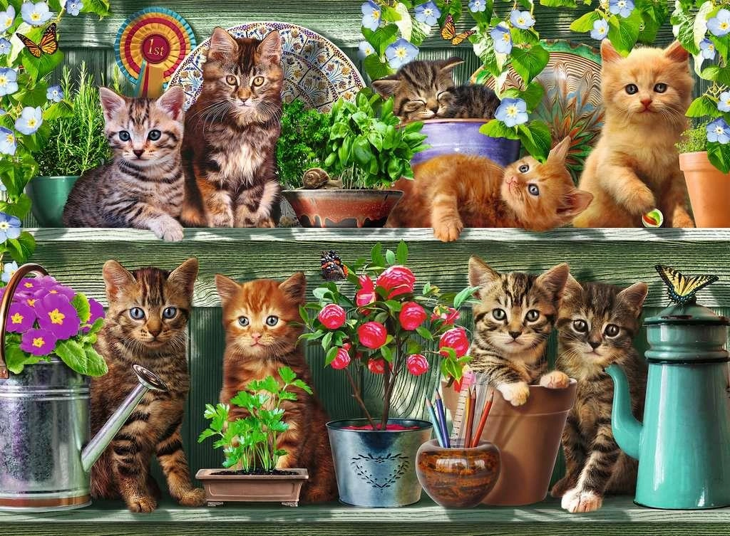 Ravensburger Cats on the Shelf 500 Piece Jigsaw for Ages 10 and Up