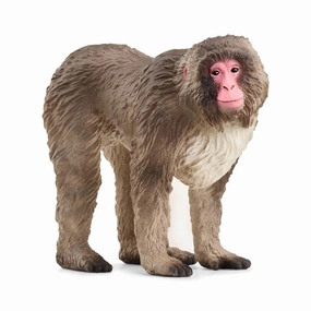 Schleich Wild Life 14871 Japanese Macaque Figurine for Ages 3 and Up