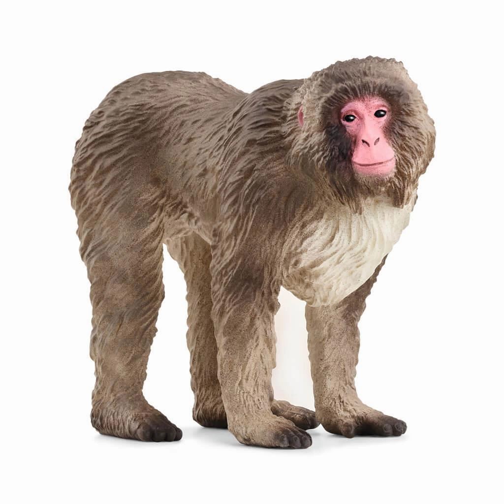Schleich Wild Life 14871 Japanese Macaque Figurine for Ages 3 and Up