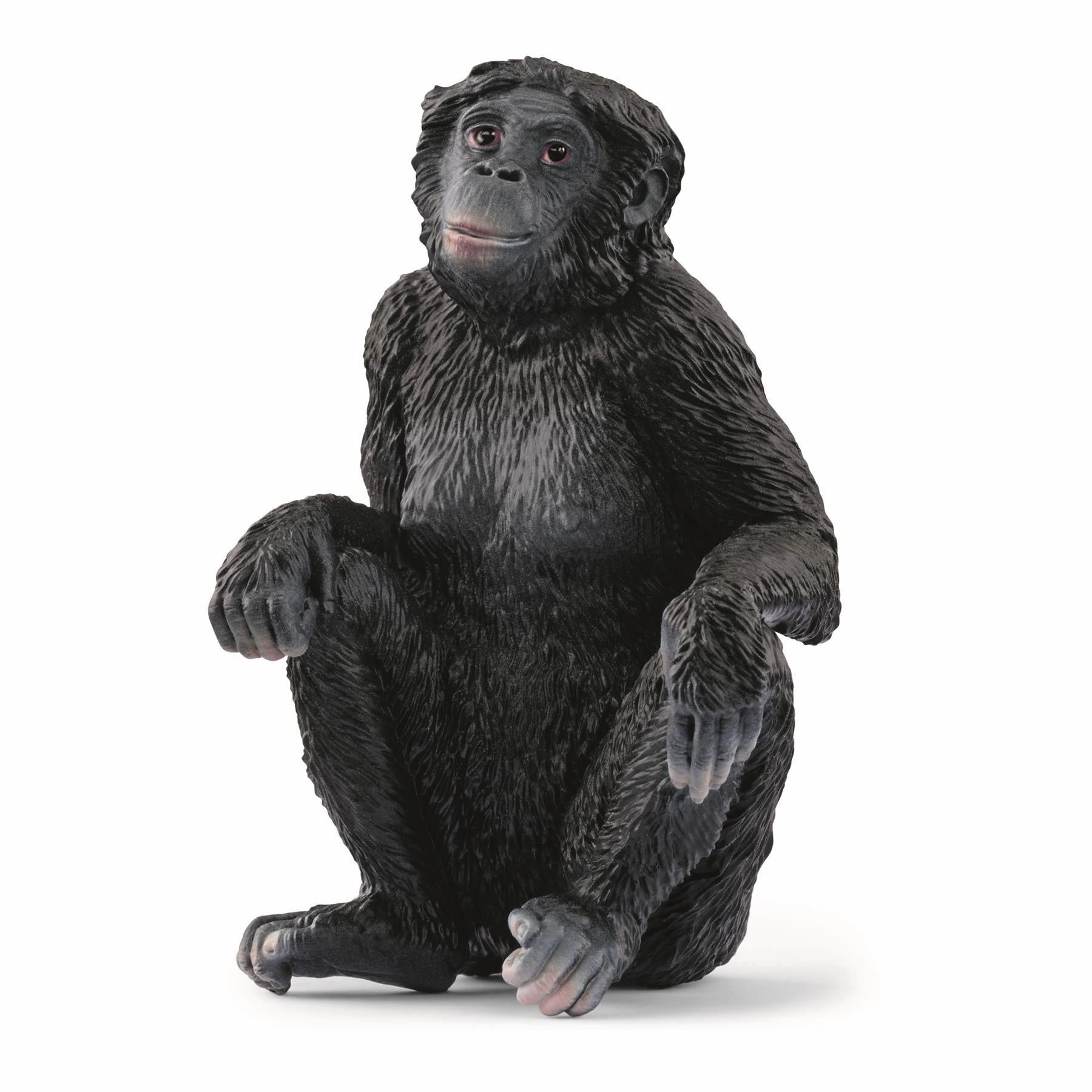 Schleich Wild Life 14875 Bonobo Female Toy Figurine for Ages 3 and Up