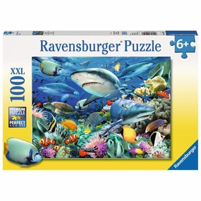 Shark Reef 100pc
