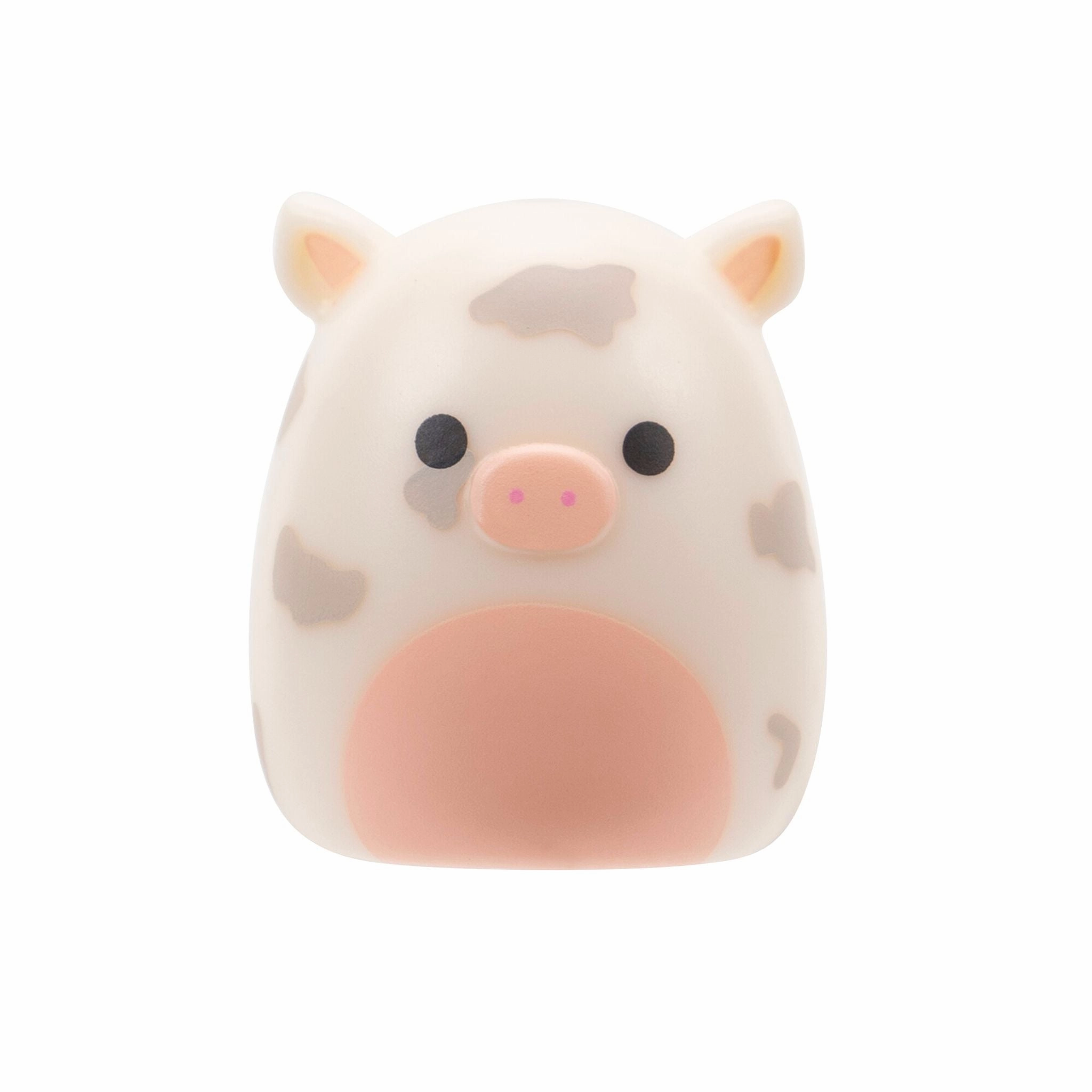 Squishalongs 2 Pack Blind Assortment