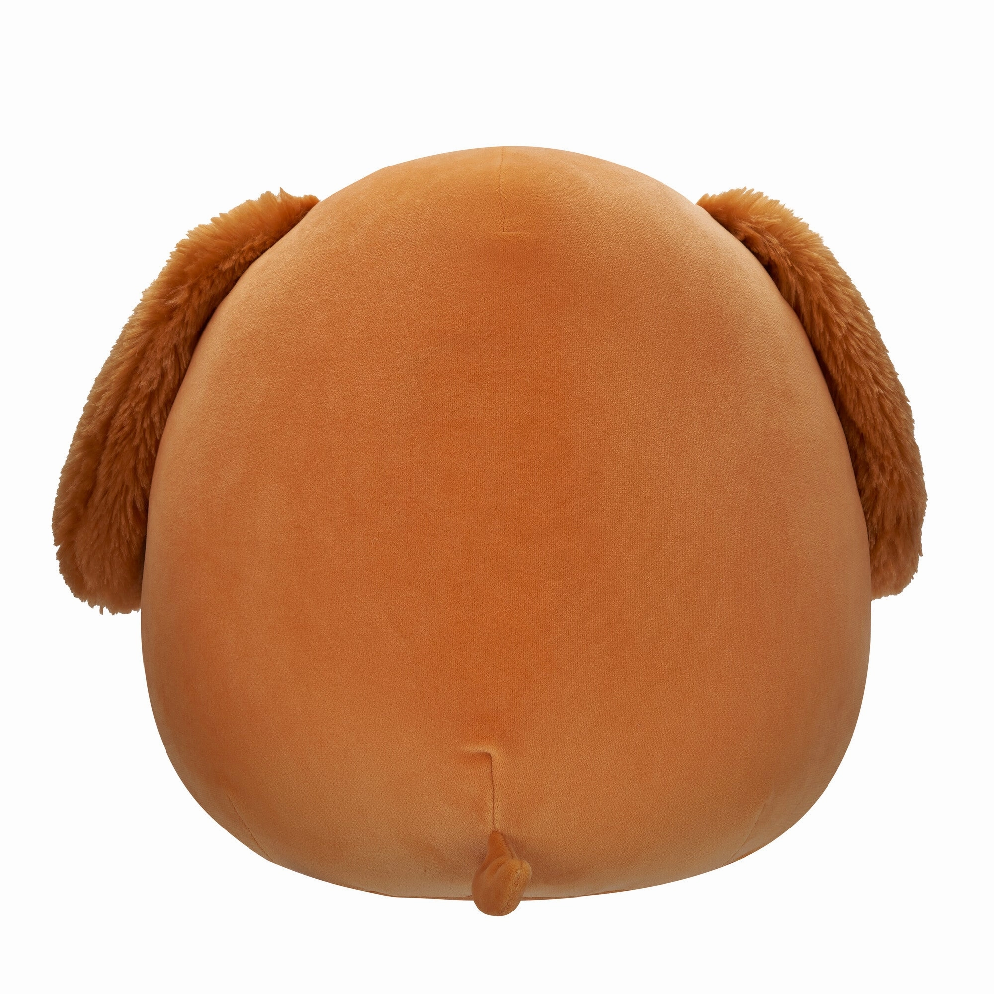 Squishmallows 12 Inch Plush Isabel The Spaniel