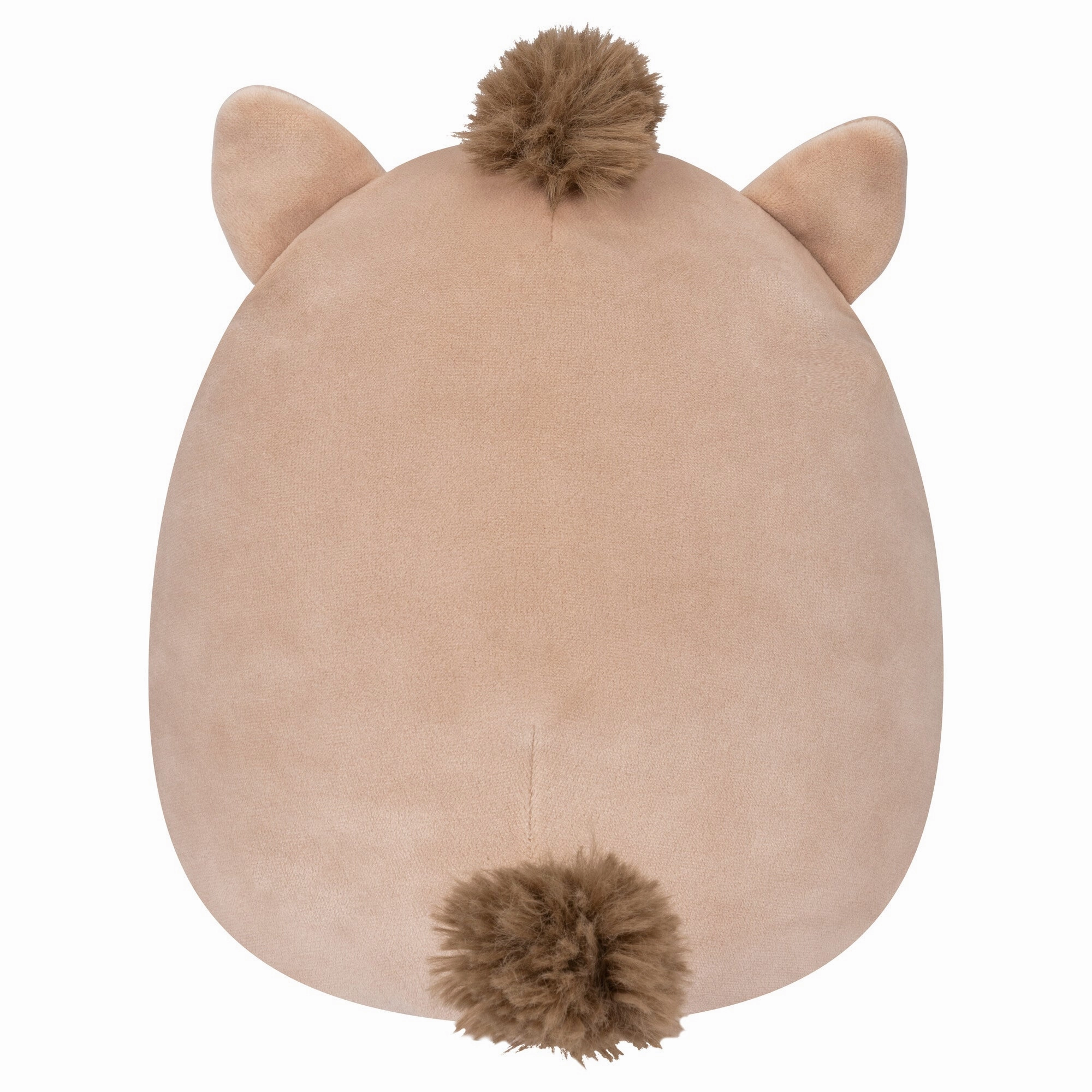 Squishmallows 5 Inch Plush Warren The Brown Boar