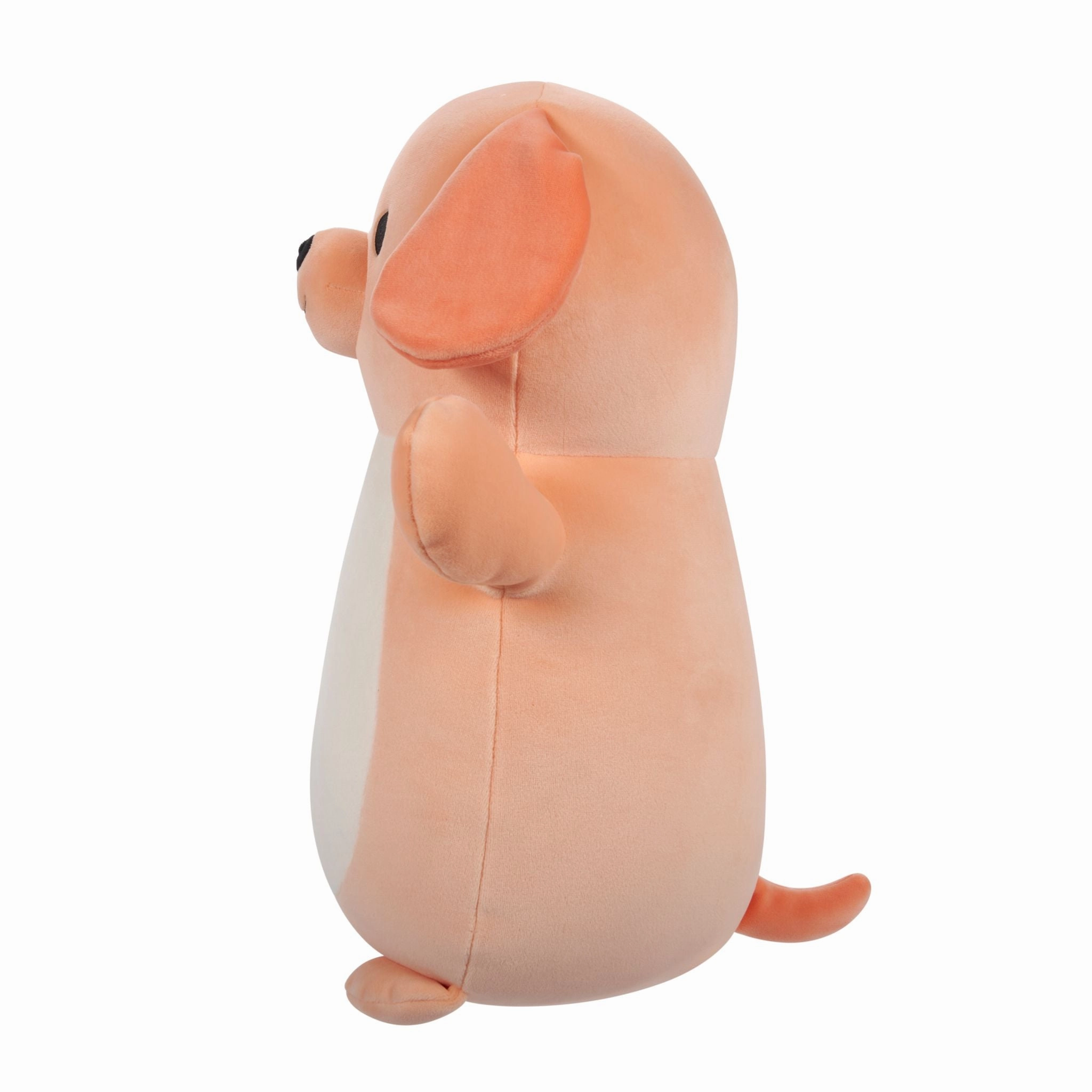 Squishmallows Hugmees 10 Inch Plush Drella Peach Dog