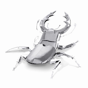 Stag Beetle