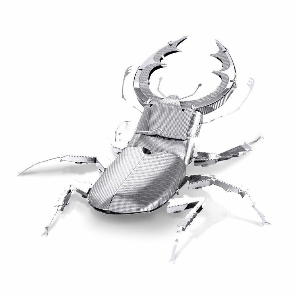Stag Beetle