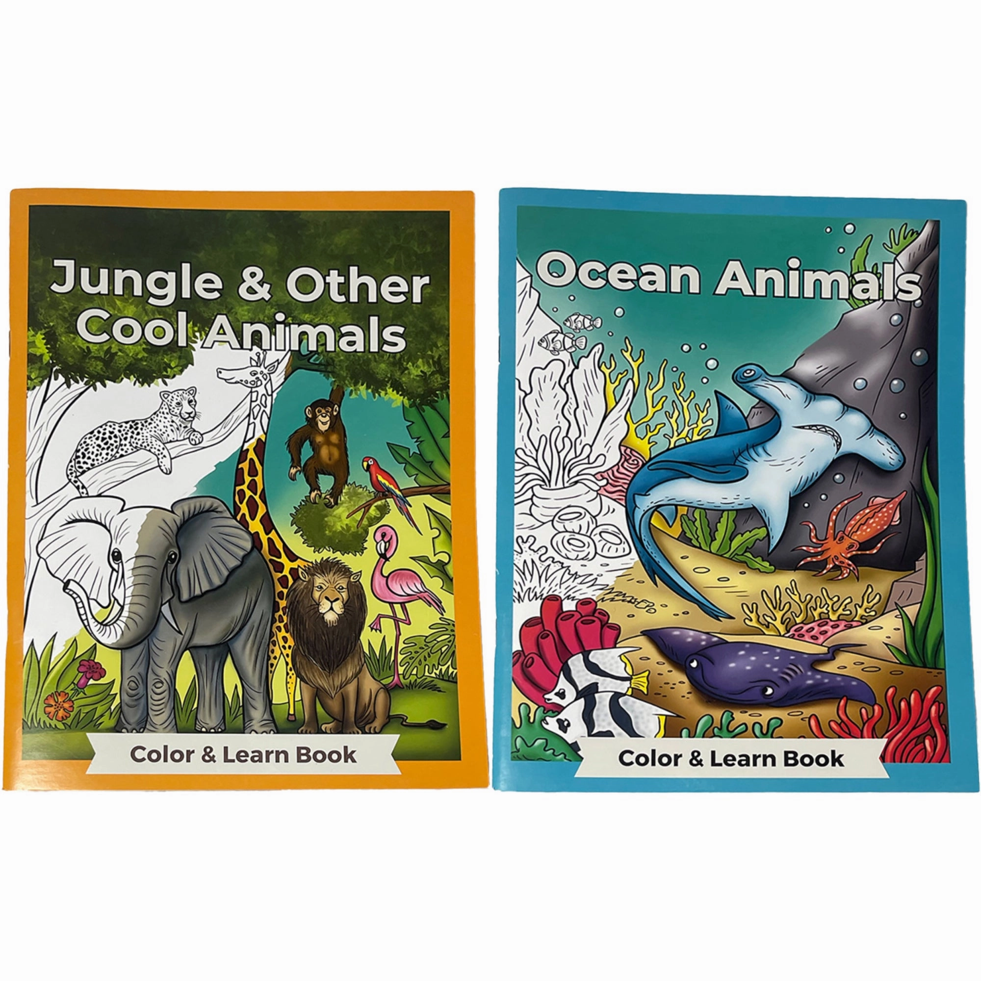 Three Little Twigs Discovery Bundle: 10pc Coloring and Quiz Set for Kids 4 