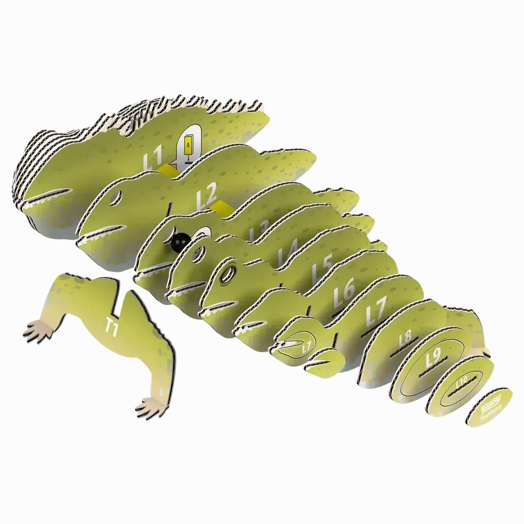 Tuatara 3D Puzzle