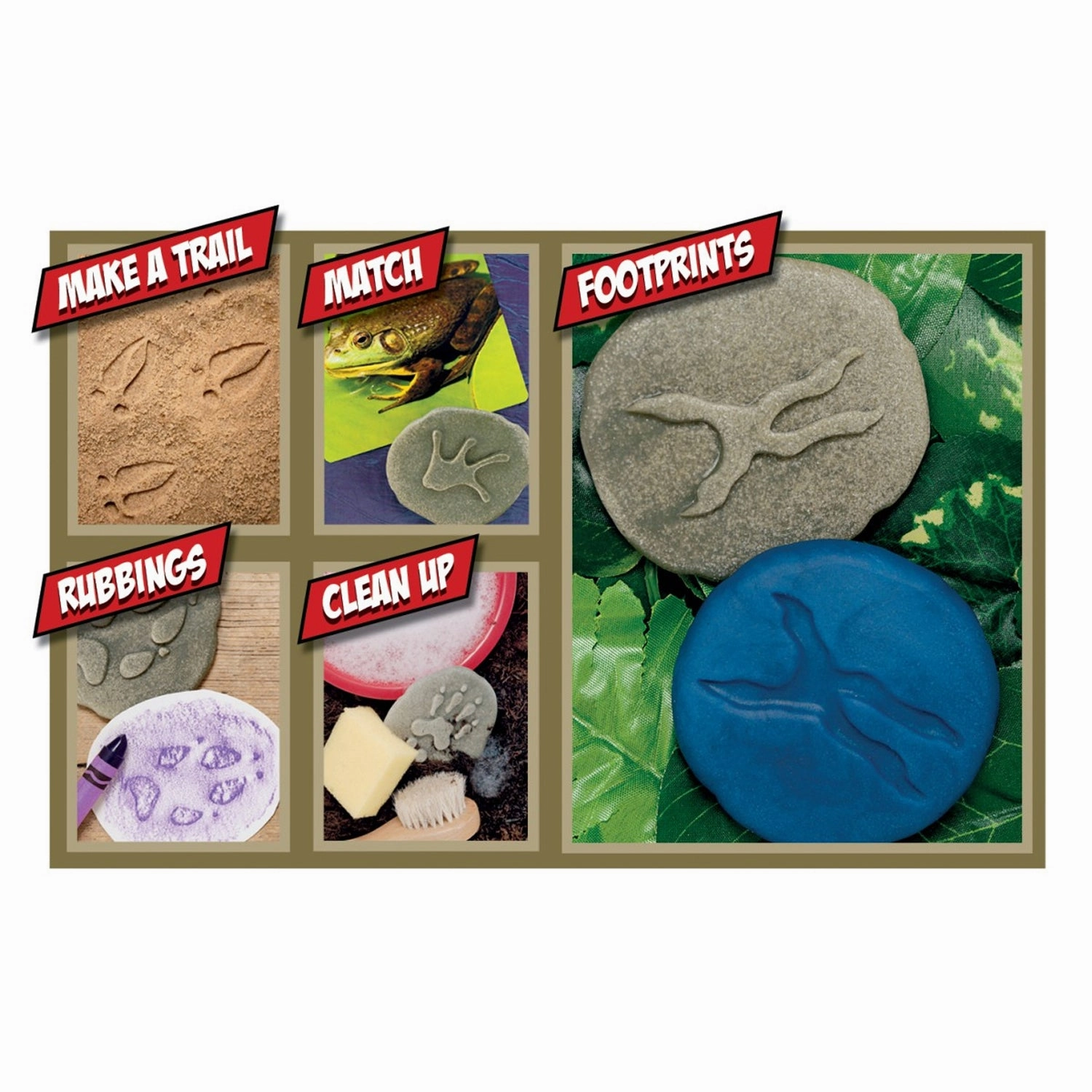 Yellow Door Woodland Footprint Stones - Set of 8 - Forest Animal Tracks